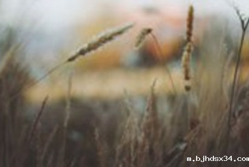 面板数据异方差的处理_xtscc法+面板数据回归